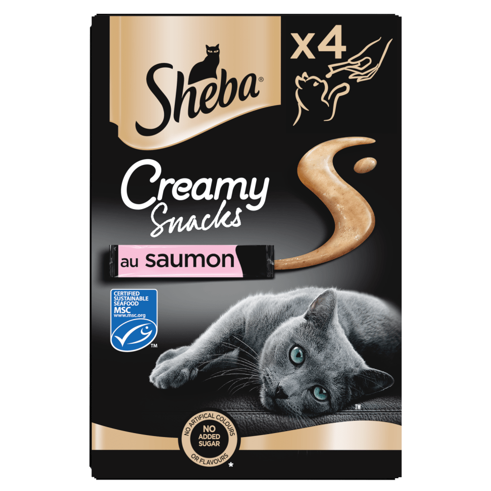 Saumon 4 x 12g - Creamy Snacks